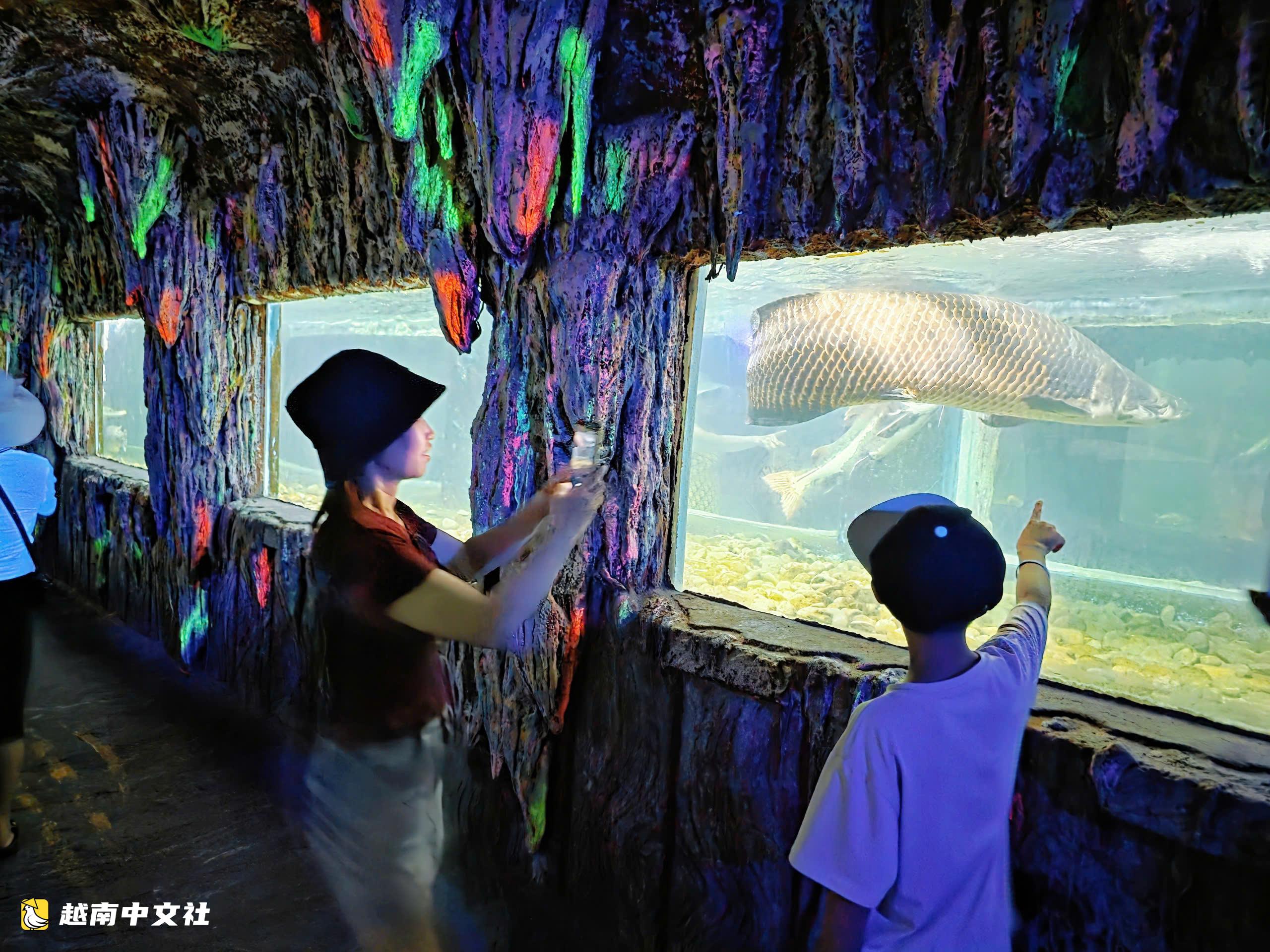 越南芽莊灣“化石”船內的獨特水族館