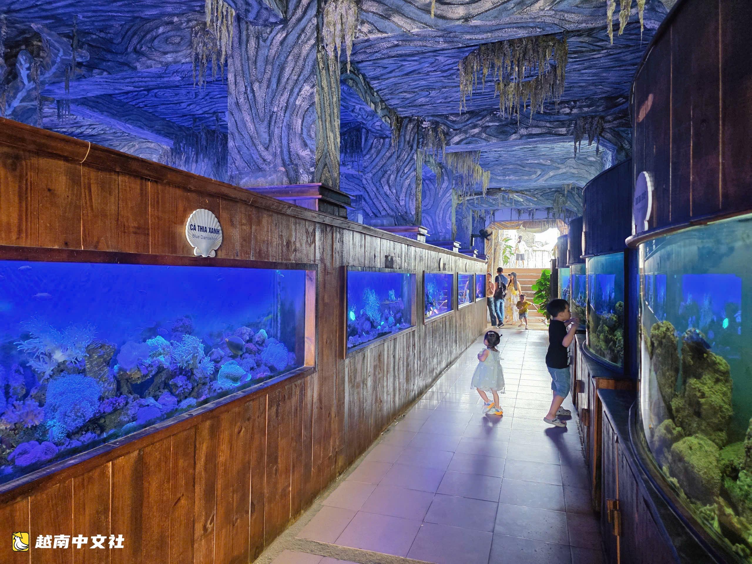 越南芽莊灣“化石”船內的獨特水族館