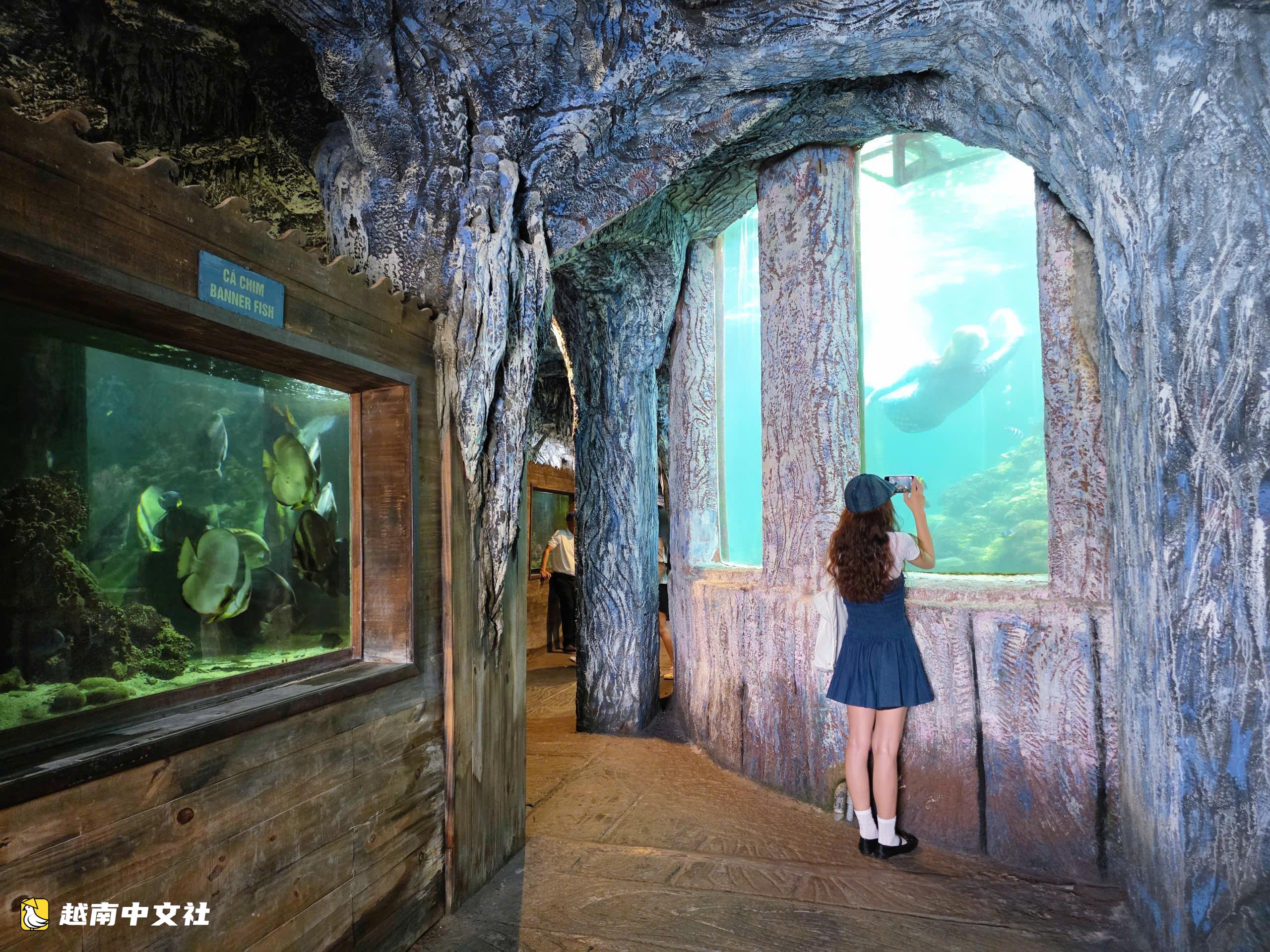 越南芽莊灣“化石”船內的獨特水族館