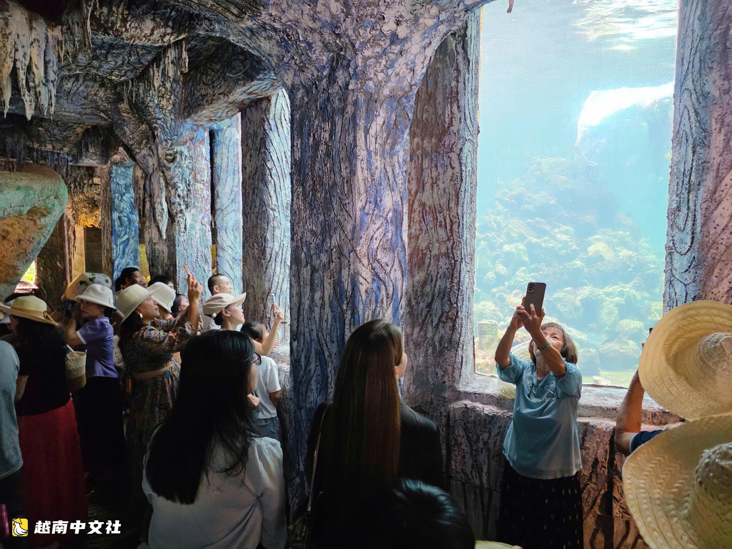越南芽莊灣“化石”船內的獨特水族館