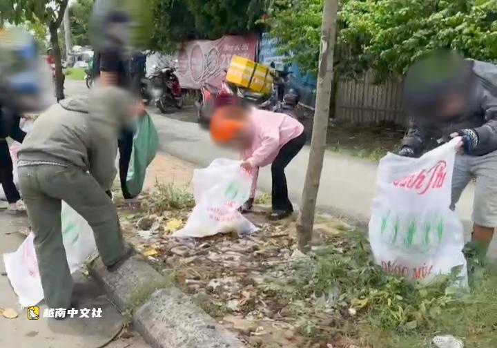 越南平正郡5人亂丟垃圾被罰款並強制收集垃圾