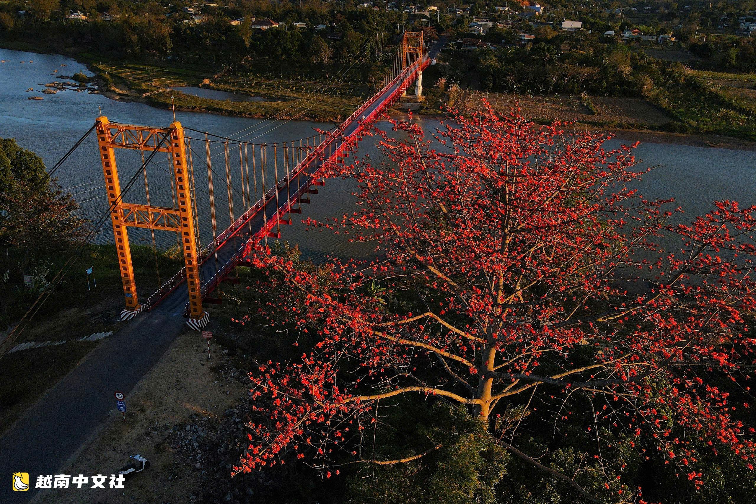 越南昆嵩省:欣賞昆克洛吊橋——西原地區大山中的“綵帶”