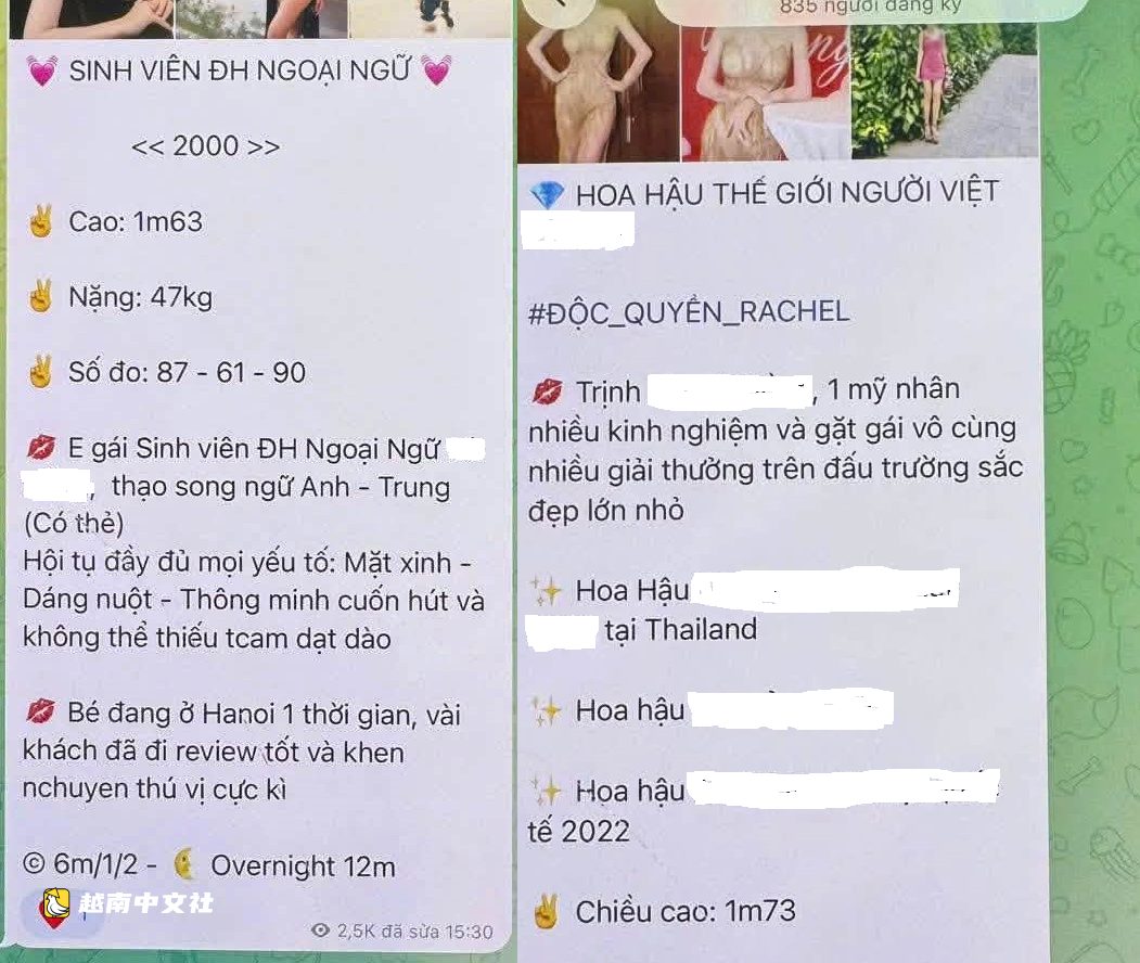 越南賣淫中介團伙每次‘接單’價格高達1.5億越南盾,其運作方式揭秘