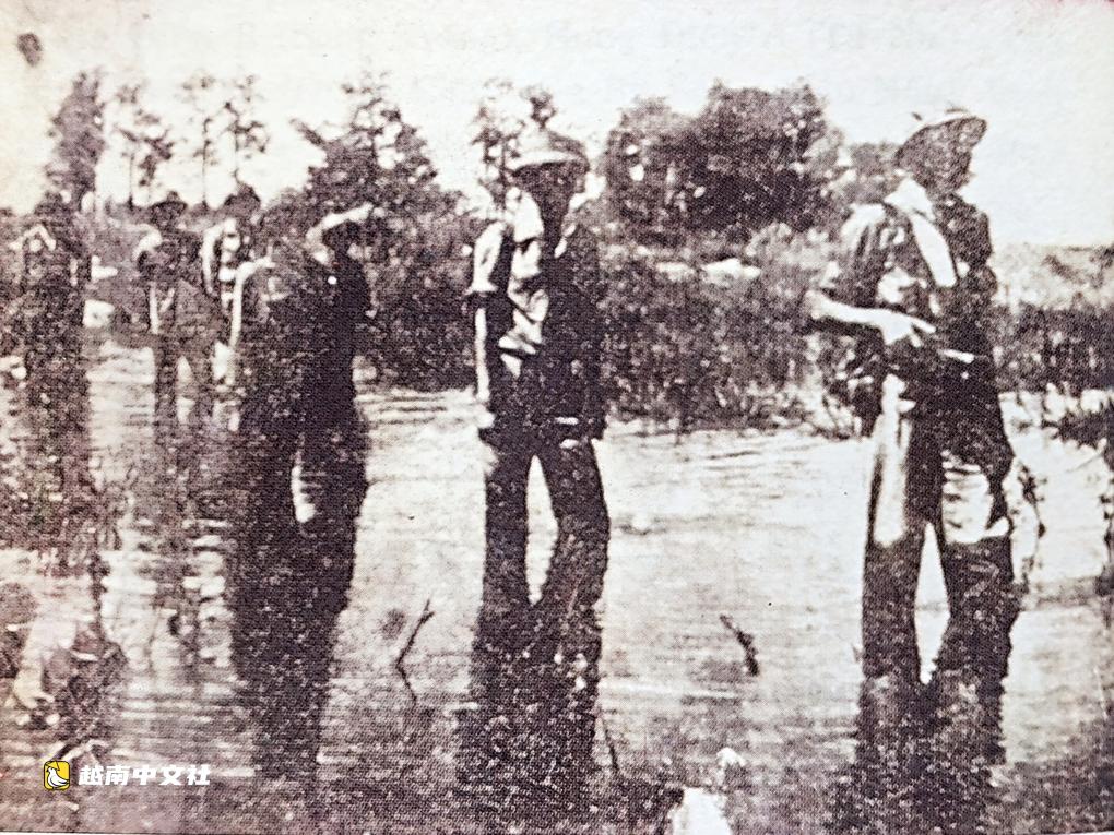 越南老兵回憶在黎氏瓊公園剛找到的烈士