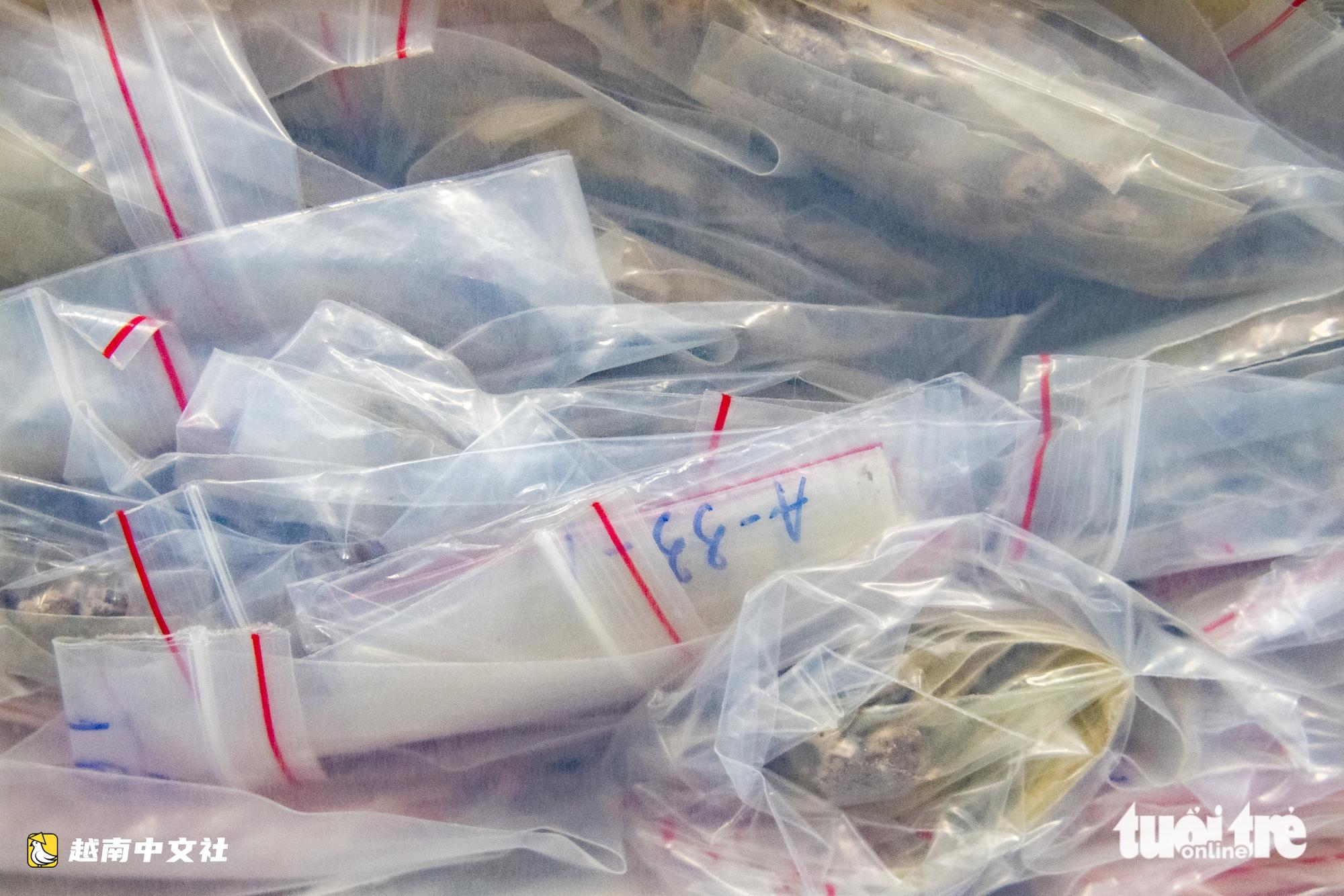 走進越南烈士DNA鑑定中心:從遺骨中尋找身份