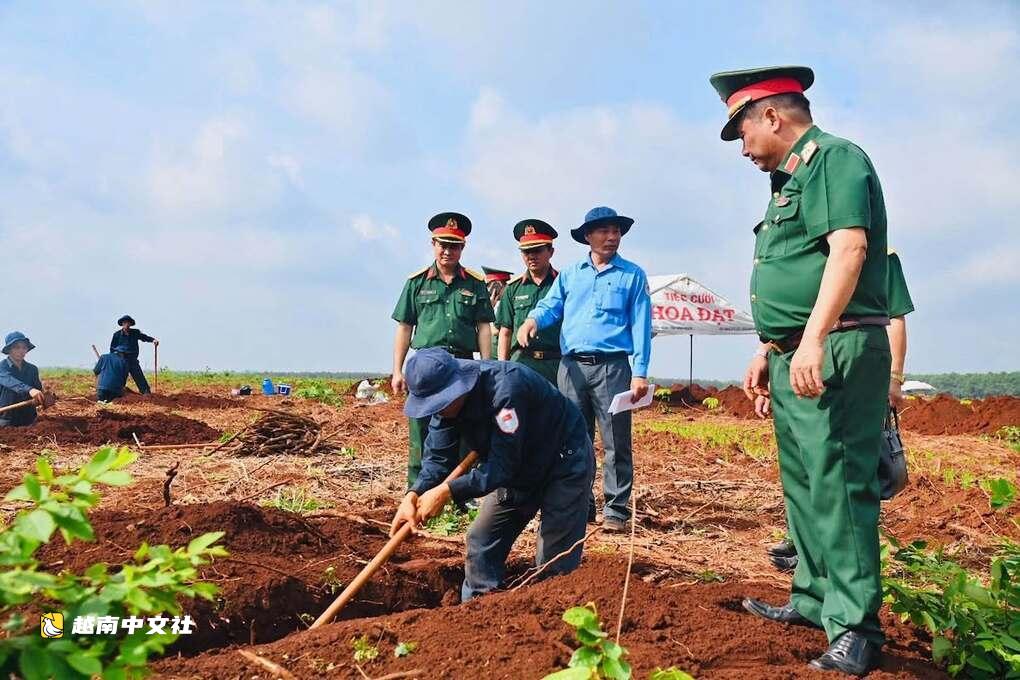越南同奈省尋找13號國道旁烈士公墓的證人