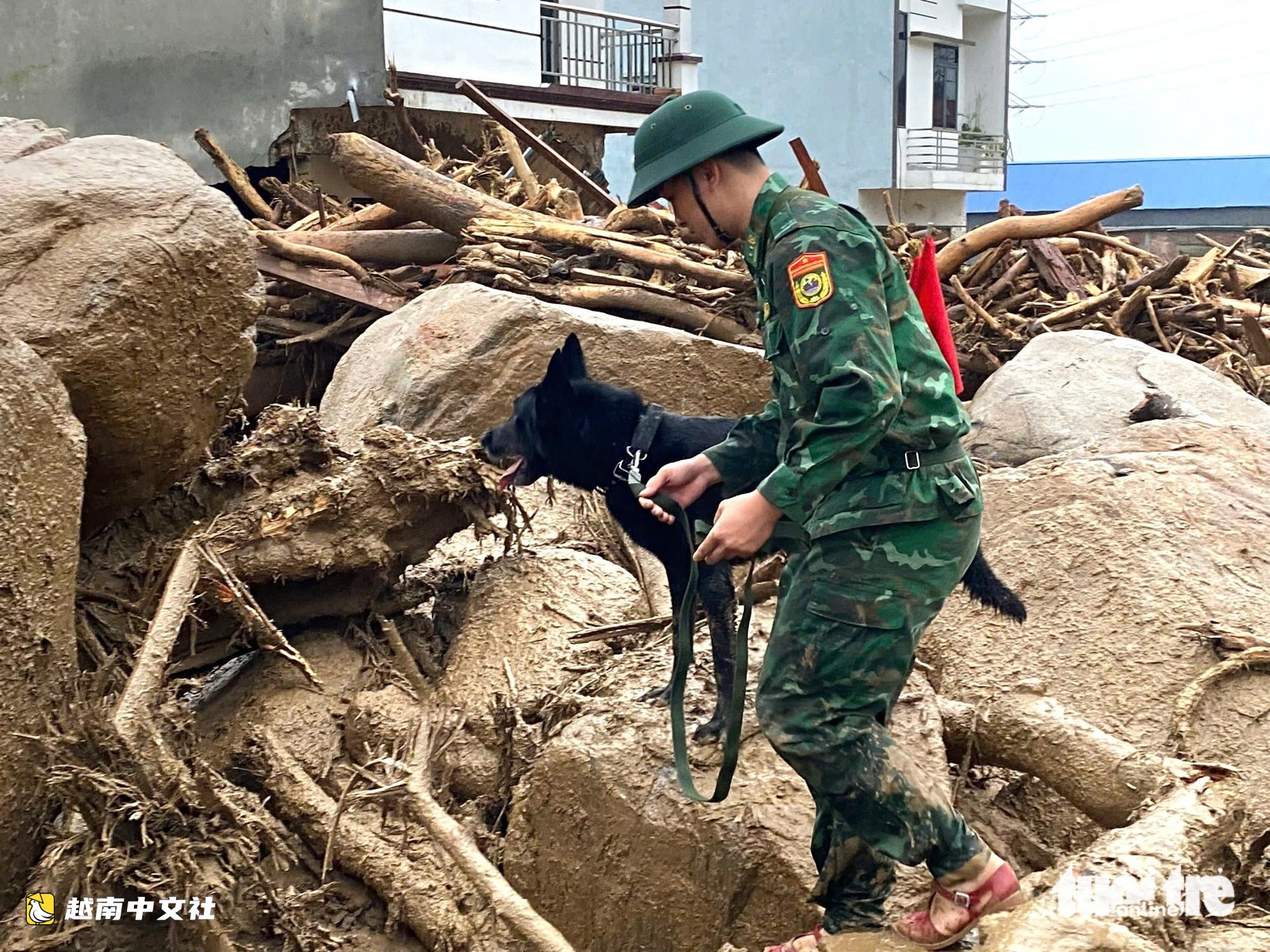 越南萊州發生山洪:動用警犬搜尋4名失蹤人員