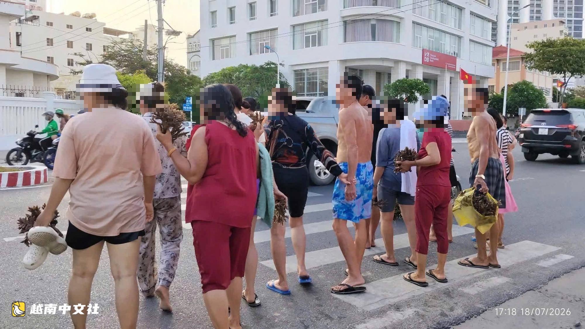 越南芽庄海域:尽管设有禁示牌,游客仍掰走珊瑚带回家