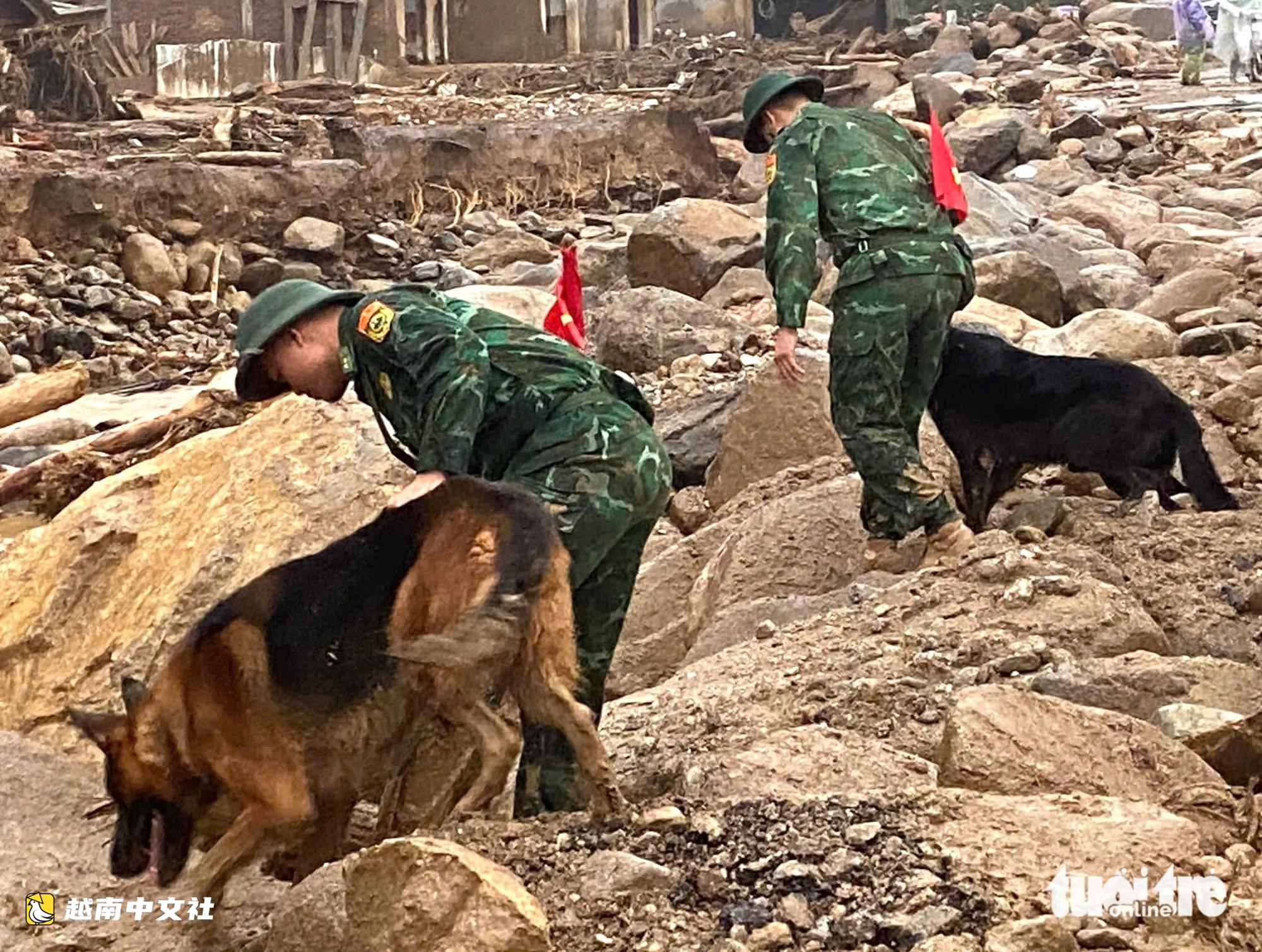 越南萊州發生山洪:動用警犬搜尋4名失蹤人員