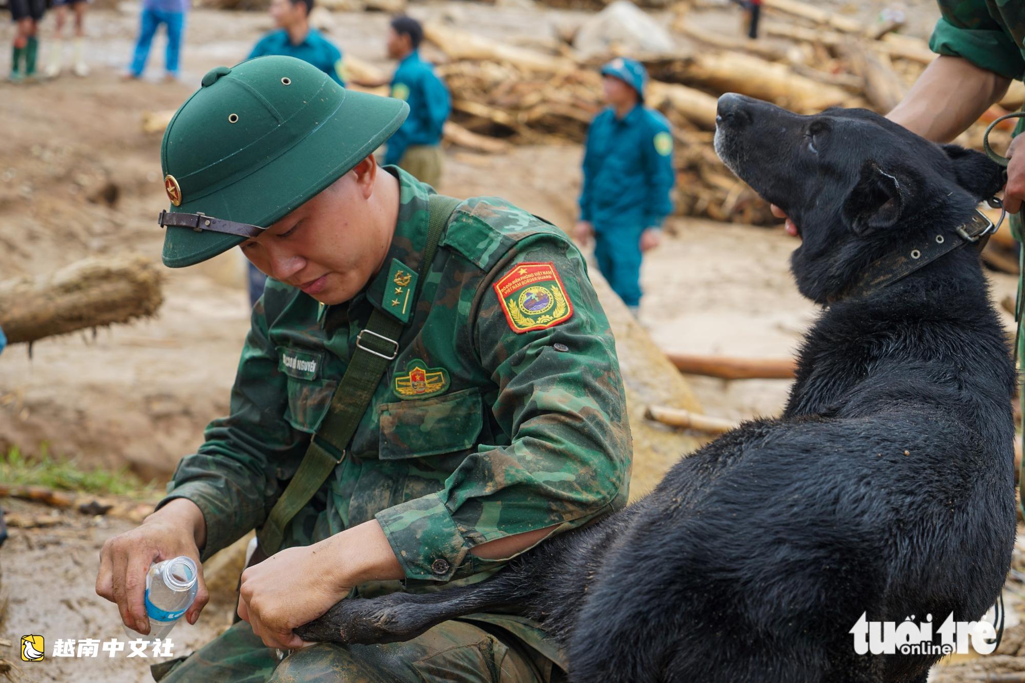 越南萊州:受傷警犬仍在泥濘中搜尋失蹤者