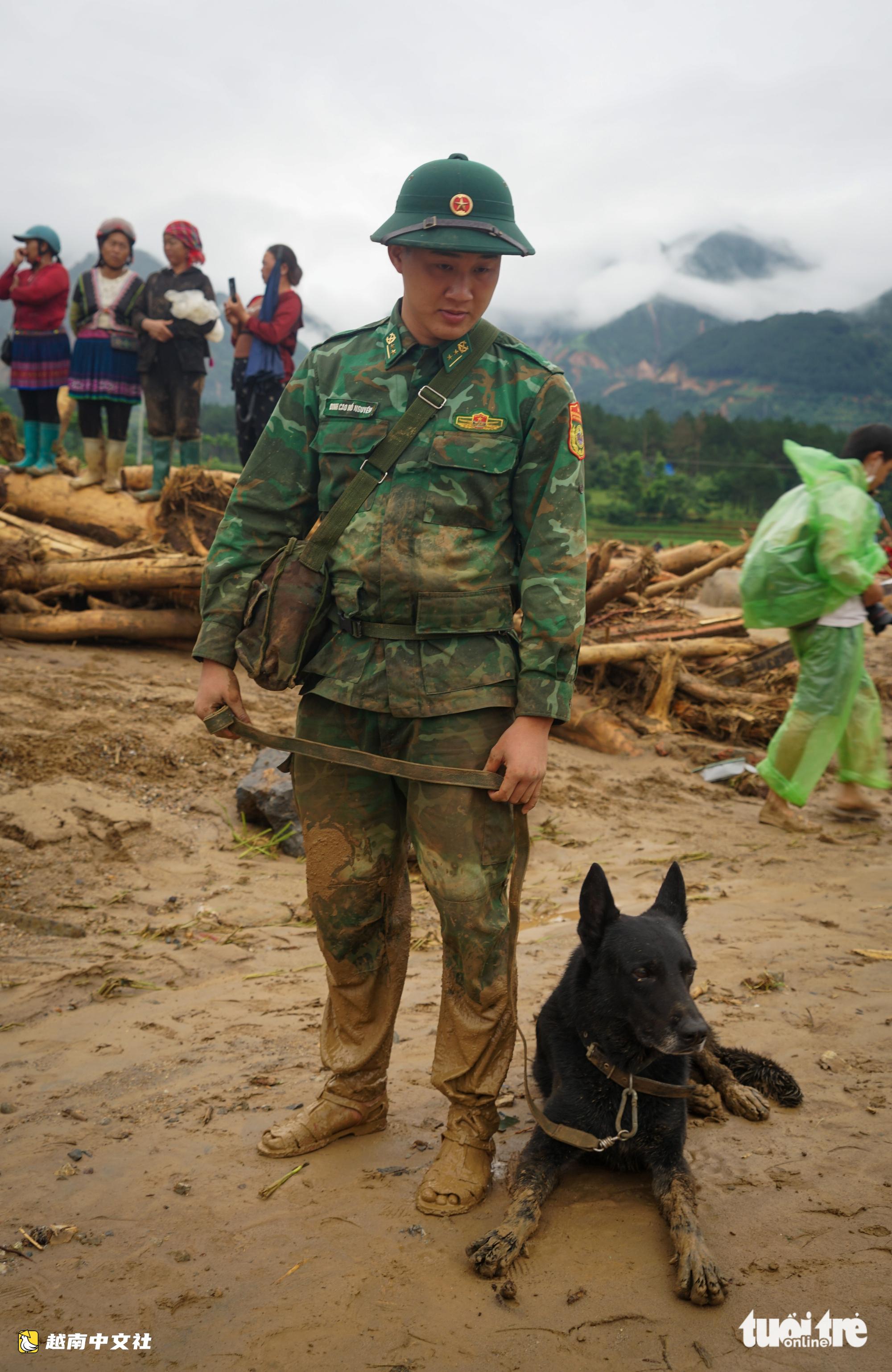越南萊州:受傷警犬仍在泥濘中搜尋失蹤者