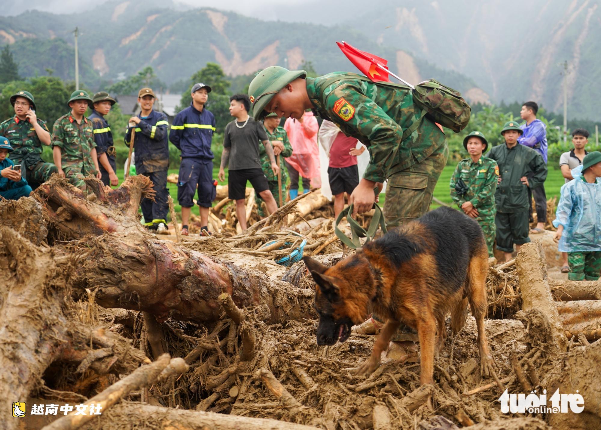 越南萊州:受傷警犬仍在泥濘中搜尋失蹤者