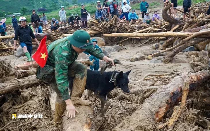 越南萊州山洪:一家三口被沖走,女童遺體被找到
