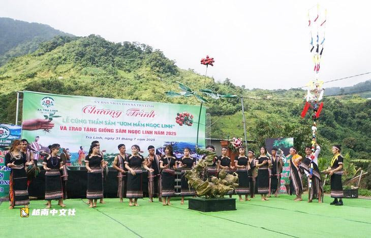 越南玉靈參“核心區”鄉鎮舉行參神祭祀儀式,呼籲捐贈種苗援助困難戶