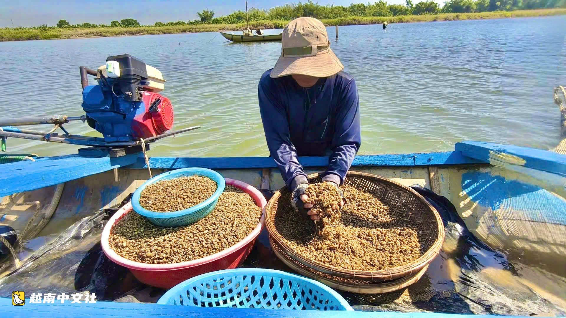 在越南茶曲河畔順水捕撈全國著名的“敦”特產