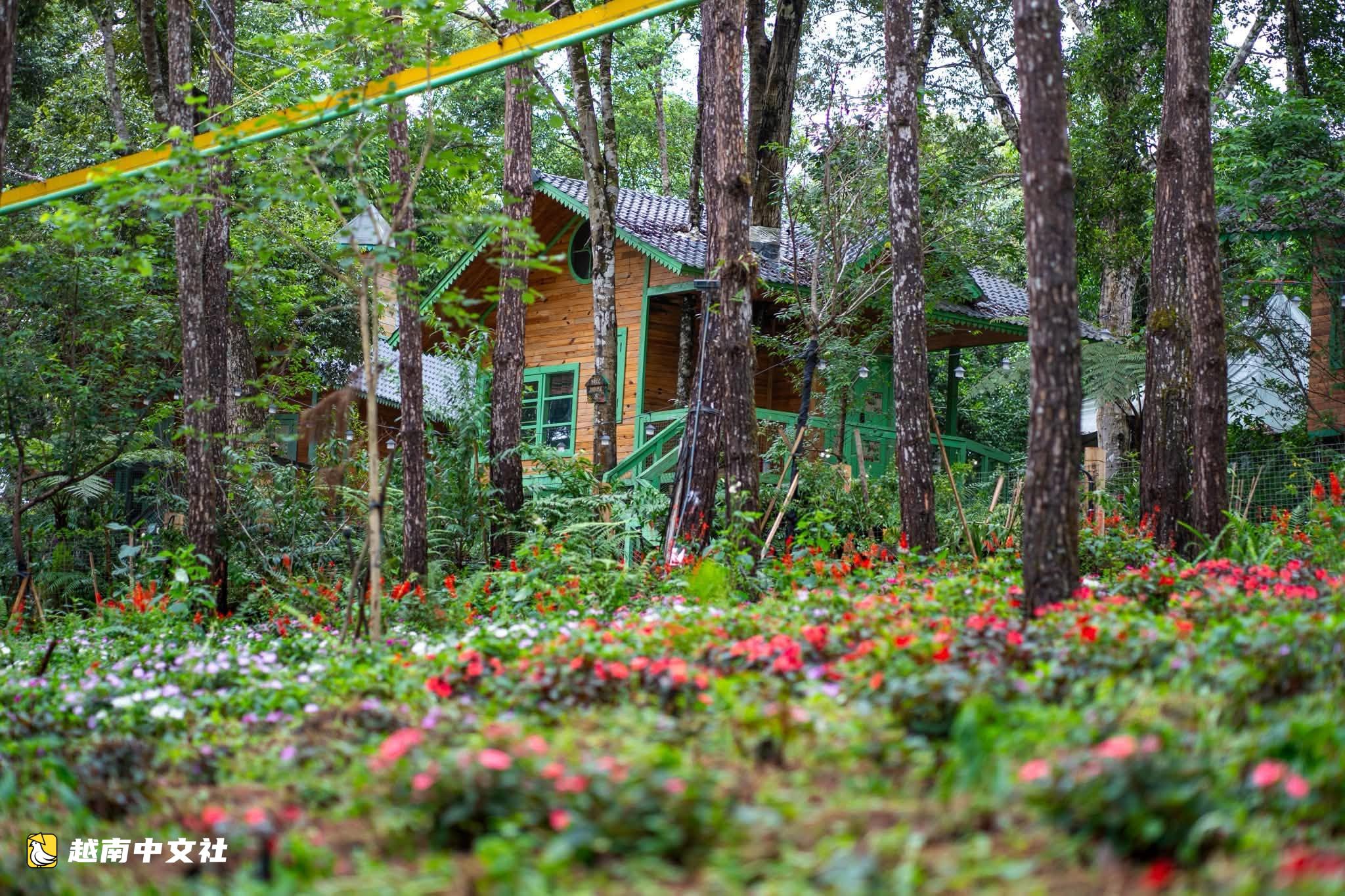 越南芒登樹屋入選世界最佳旅遊鄉村提名
