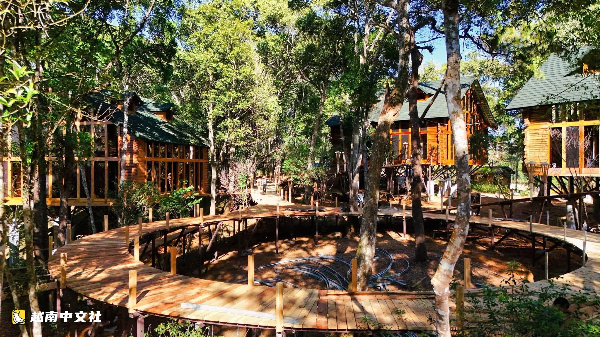 越南芒登樹屋入選世界最佳旅遊鄉村提名