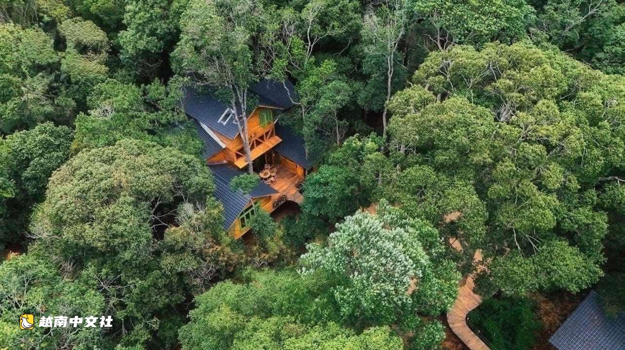 越南芒登樹屋入選世界最佳旅遊鄉村提名