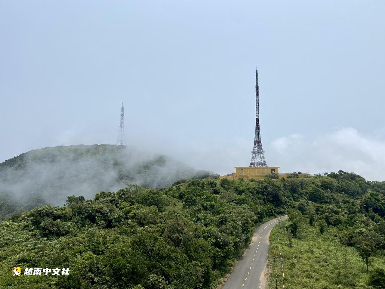 越南峴港整治山茶山非法經營，處理喂猴行為