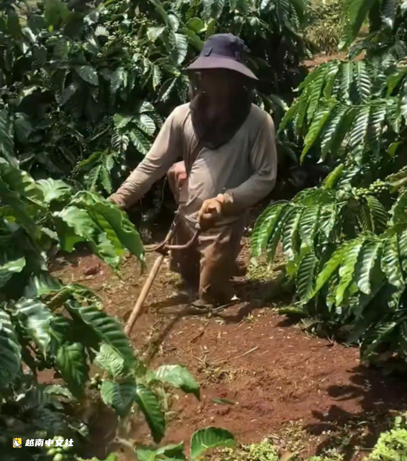 越南雙腿截肢青年:用雙手尋找機會