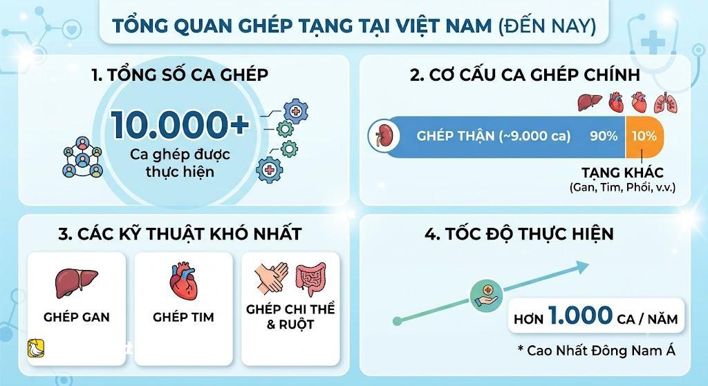 越南患者成功接受第三次腎移植