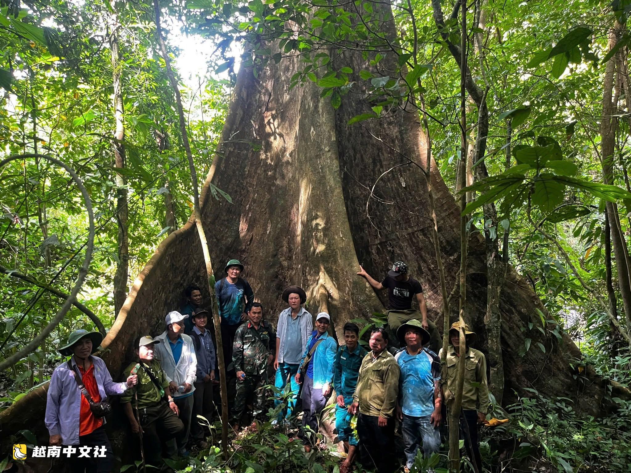 越南裴惠草原推出森林徒步穿越旅遊新產品