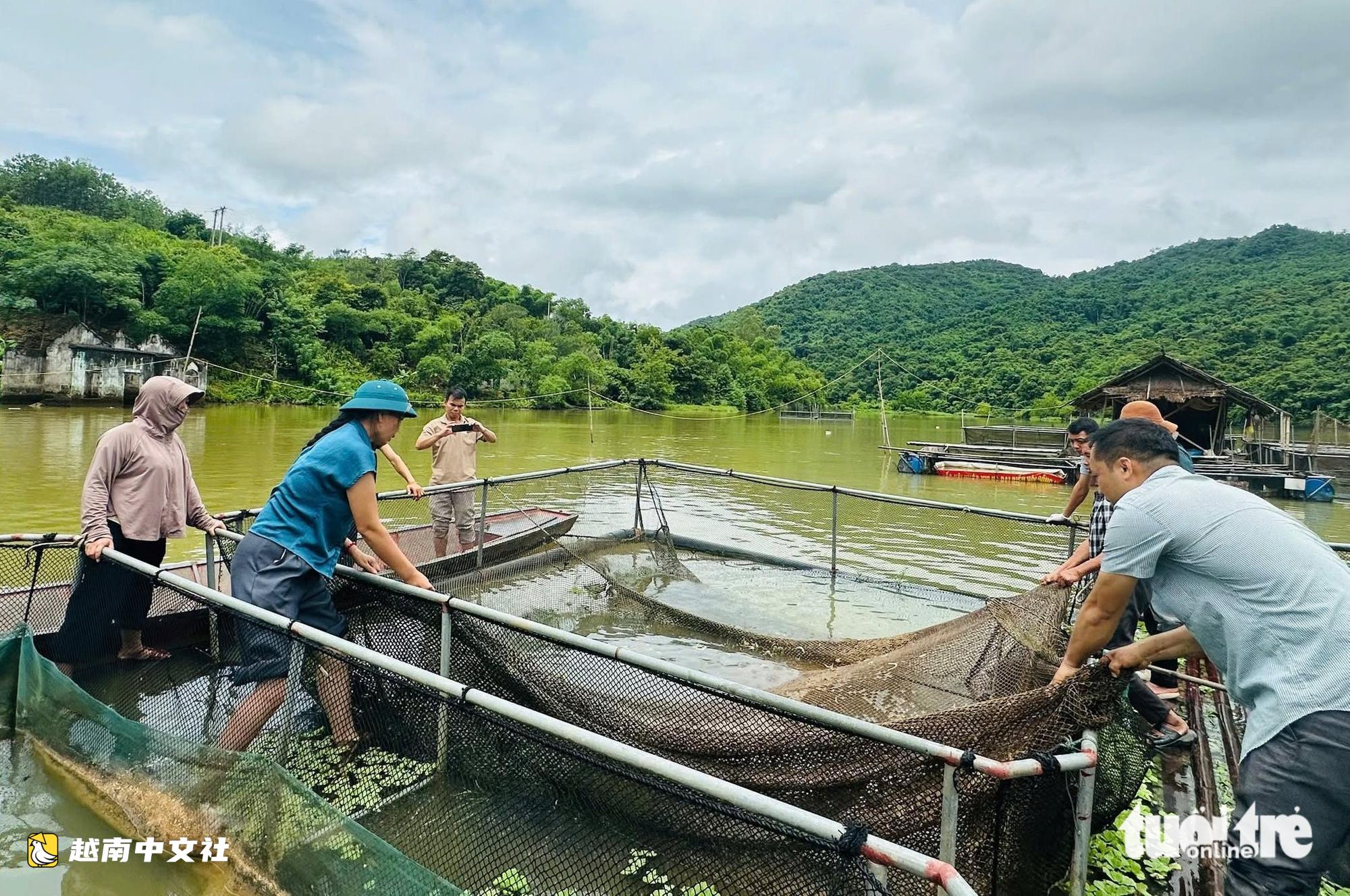 越南乂安省逾2.6噸網箱養殖魚異常死亡,採樣查找原因