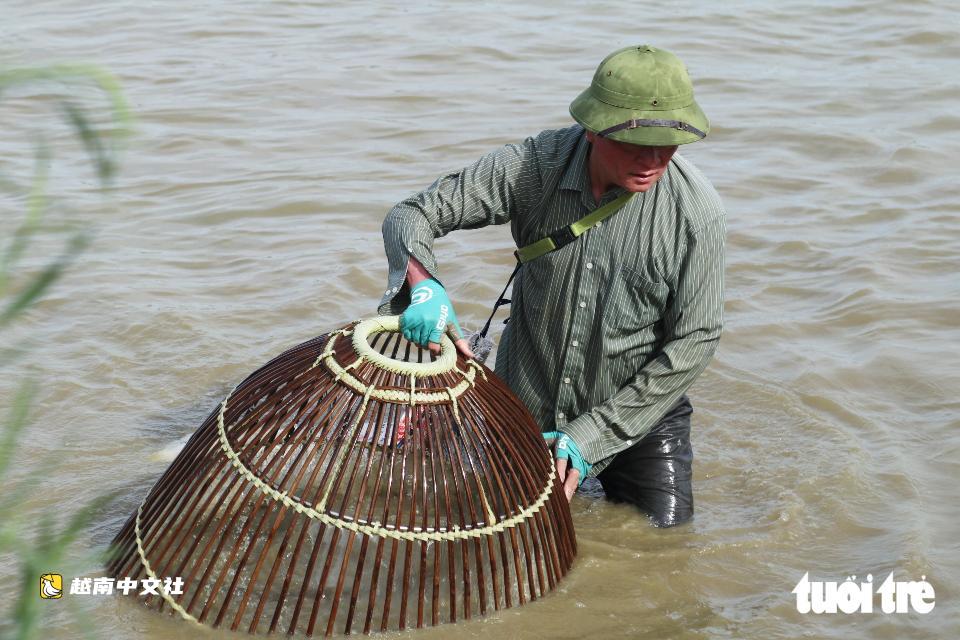 越南義安數百人下池塘歡快捕魚