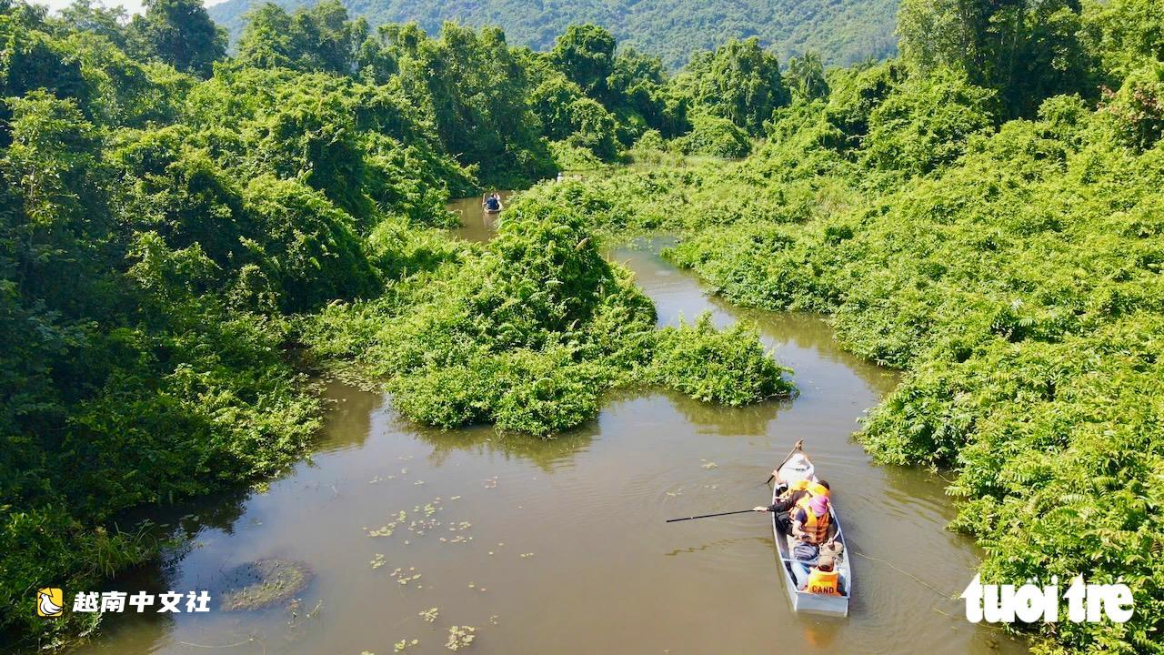 越南得樂省寶達溼地:生態旅遊新目的地