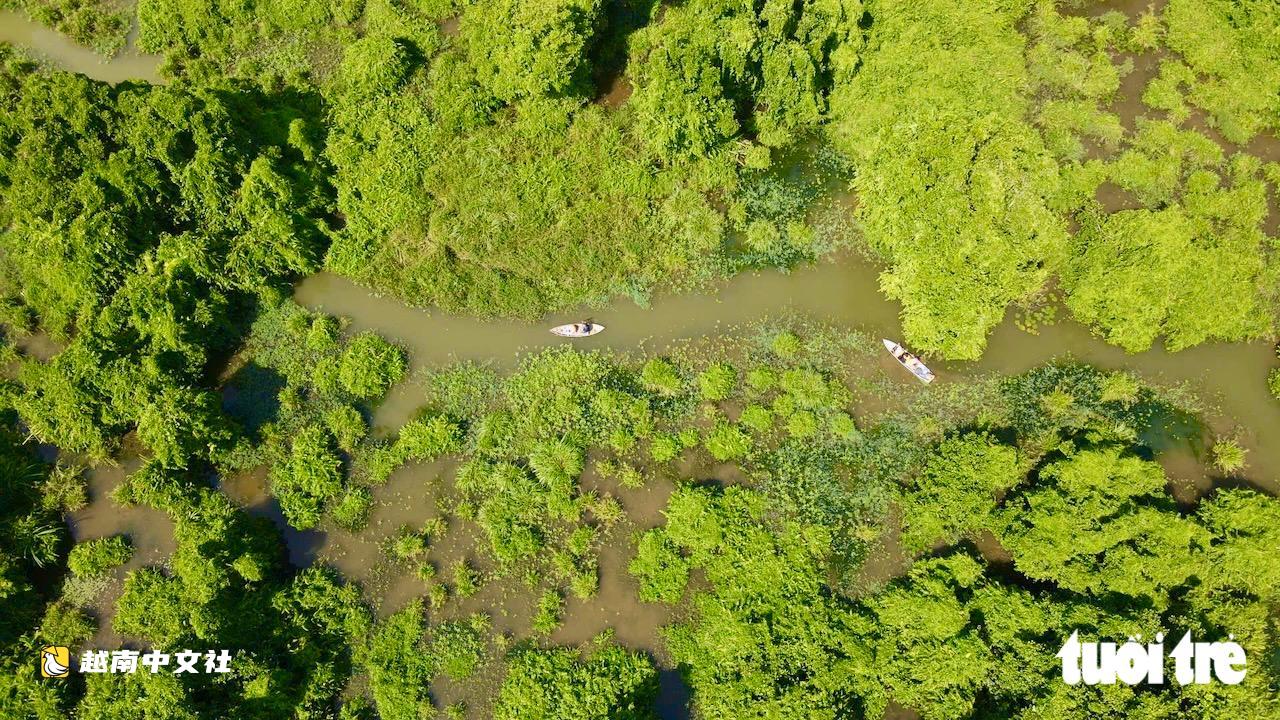 越南得樂省寶達溼地:生態旅遊新目的地
