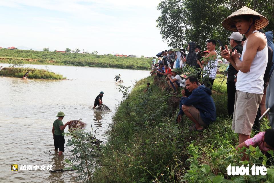 越南義安數百人下池塘歡快捕魚