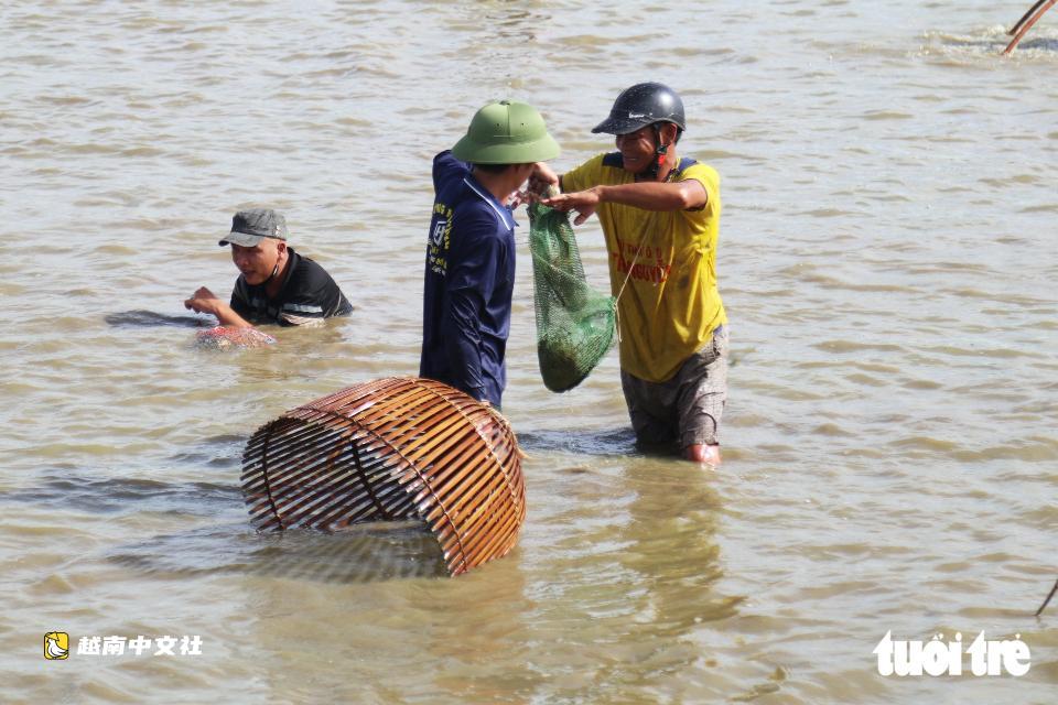 越南義安數百人下池塘歡快捕魚