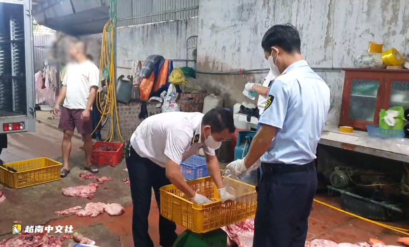 越南近1噸疑似非洲豬瘟豬肉案移交警方調查