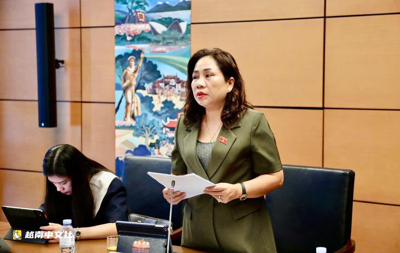 越南國會代表建議嚴格規定電商平臺貨物海關手續