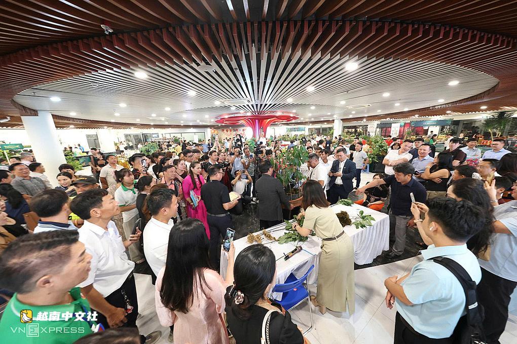 越南玉靈參0.9公斤拍出7.25億越南盾