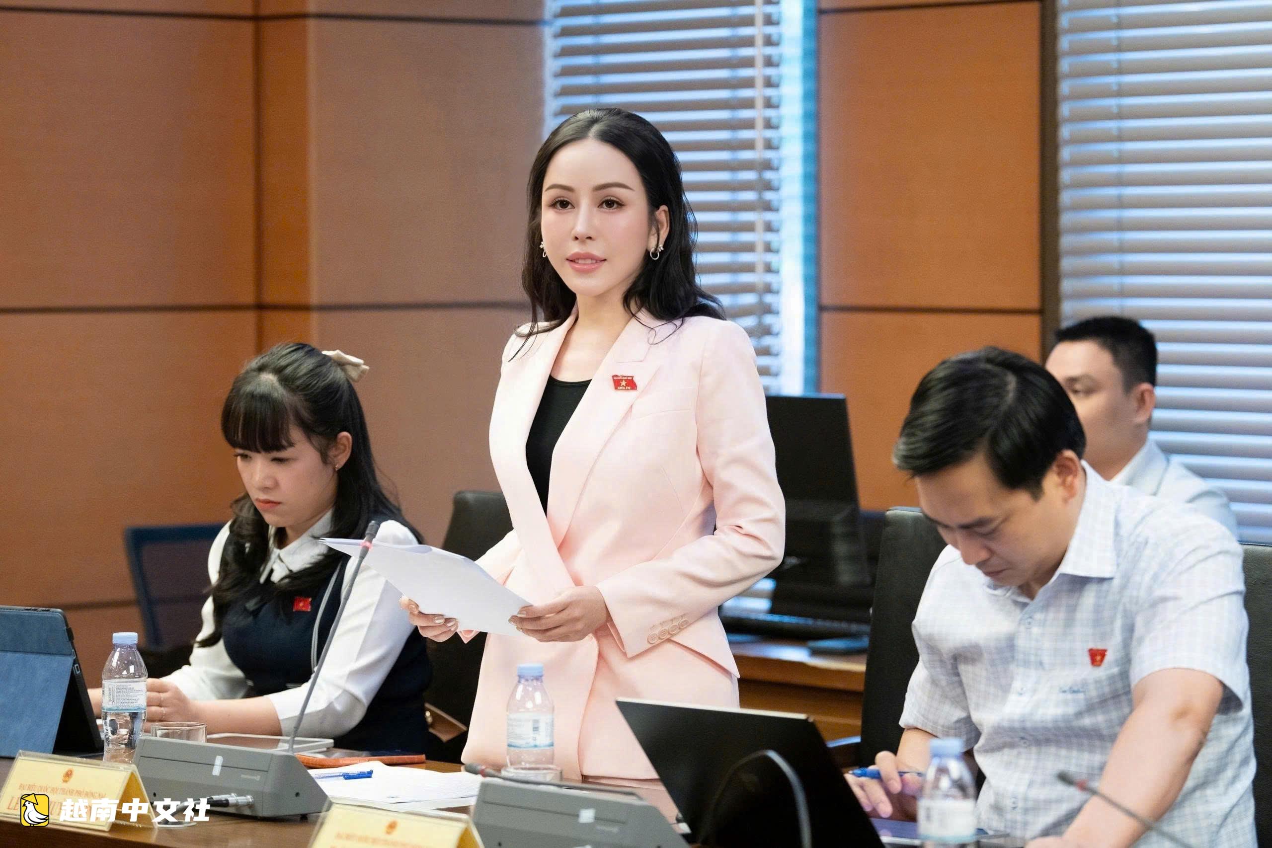 越南Viettel、Becamex、KN Holdings、Petrovietnam等集團負責人談經濟活動免除刑事責任機制