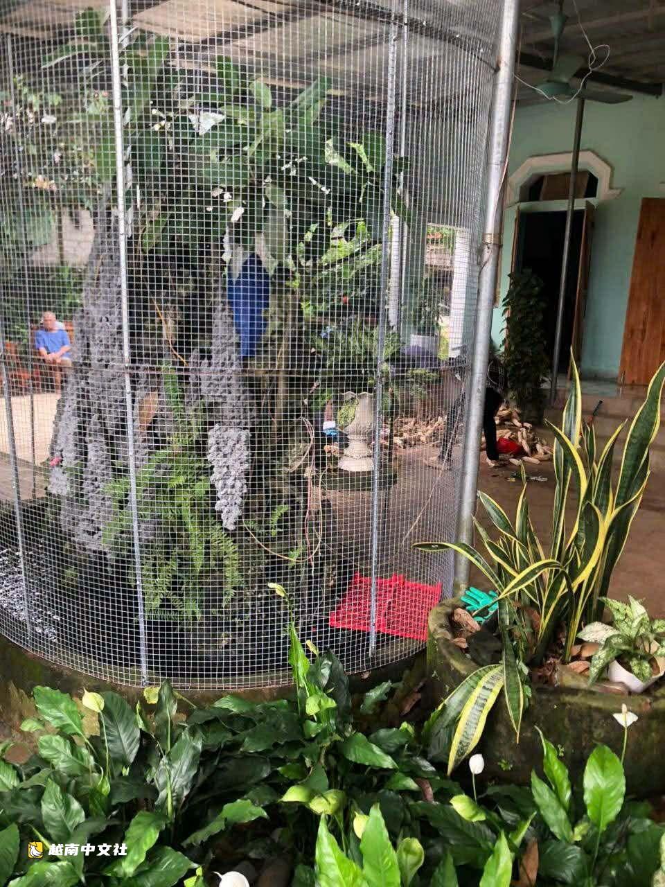 越南夫妻清潔魚缸時觸電身亡