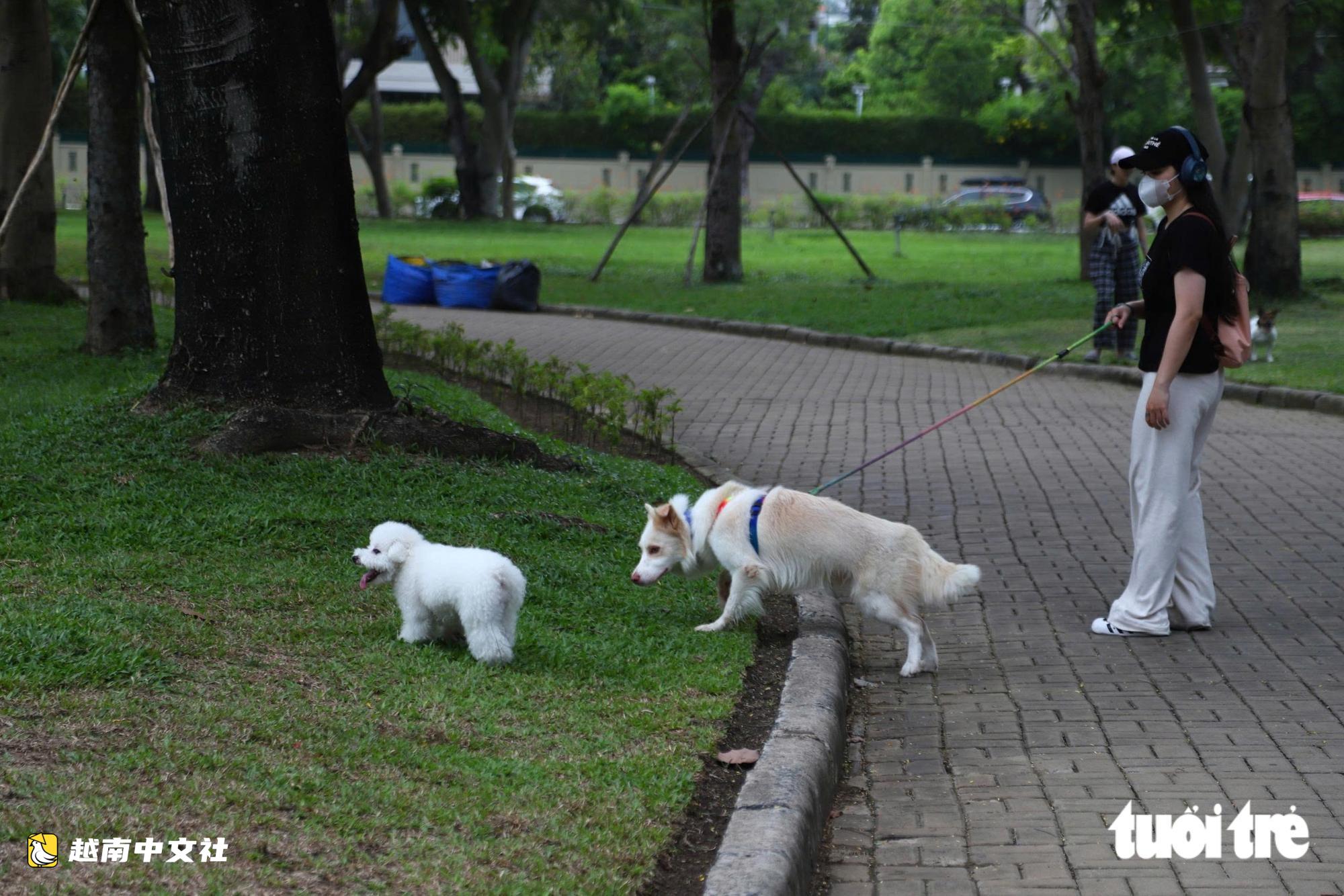 越南胡志明市富美興景丘公園現不拴繩不戴嘴套的狗