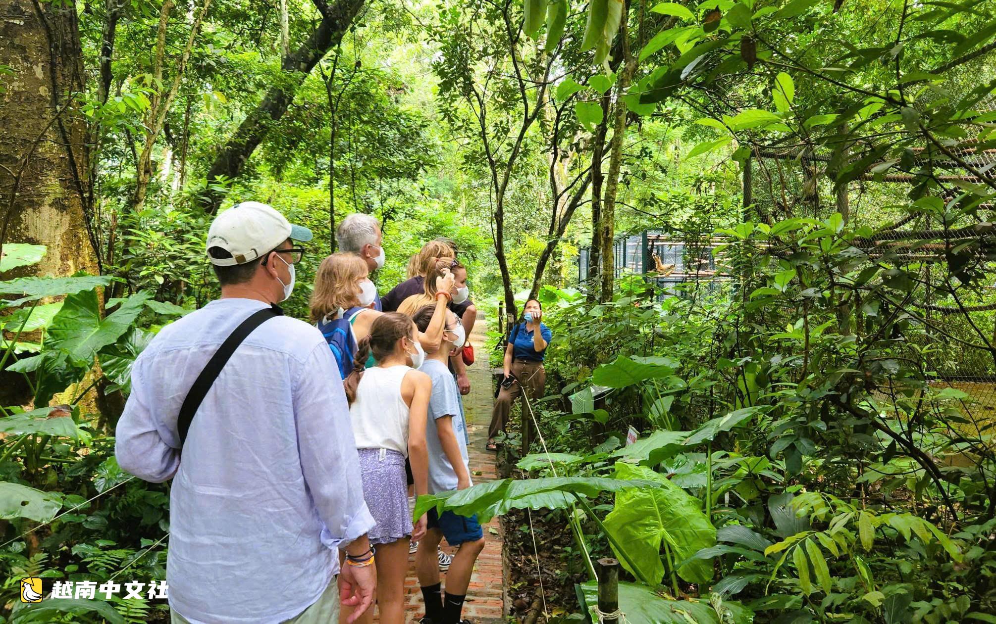 越南菊芳國家公園中默默奉獻的“保育員”