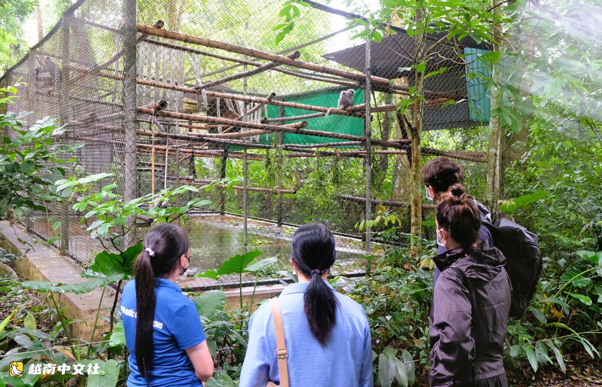 越南菊芳國家公園中默默奉獻的“保育員”