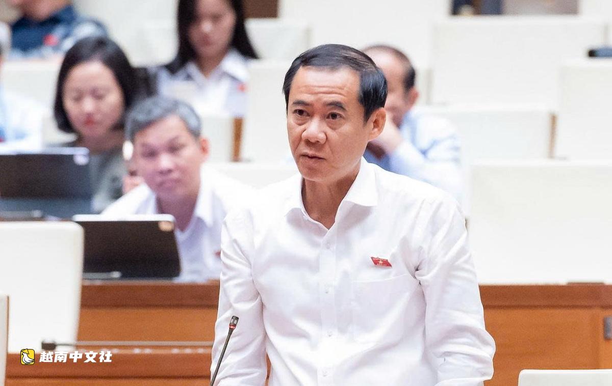 越南部長林氏芳青:對涉及領袖、民族歷史的內容實施“三環”管控