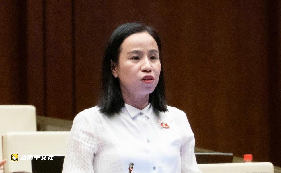 “網絡江湖”橫行,越南國會代表追問責任
