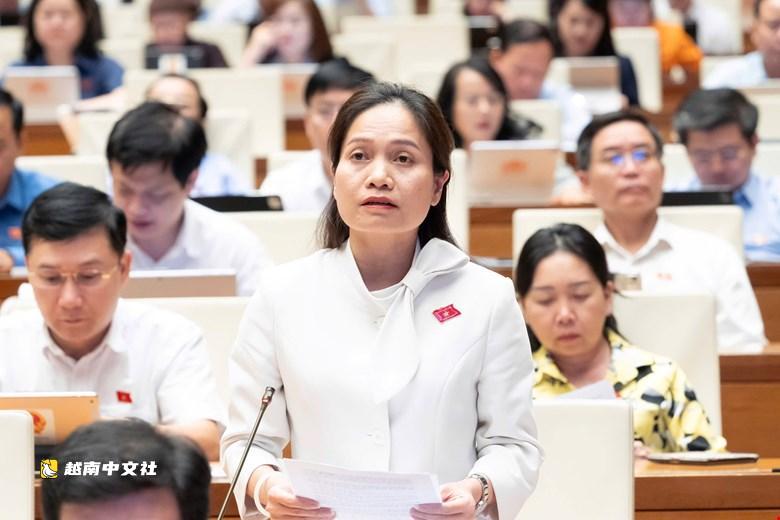 越南國會代表擔憂調查、審判多項‘硬指標’難以實現