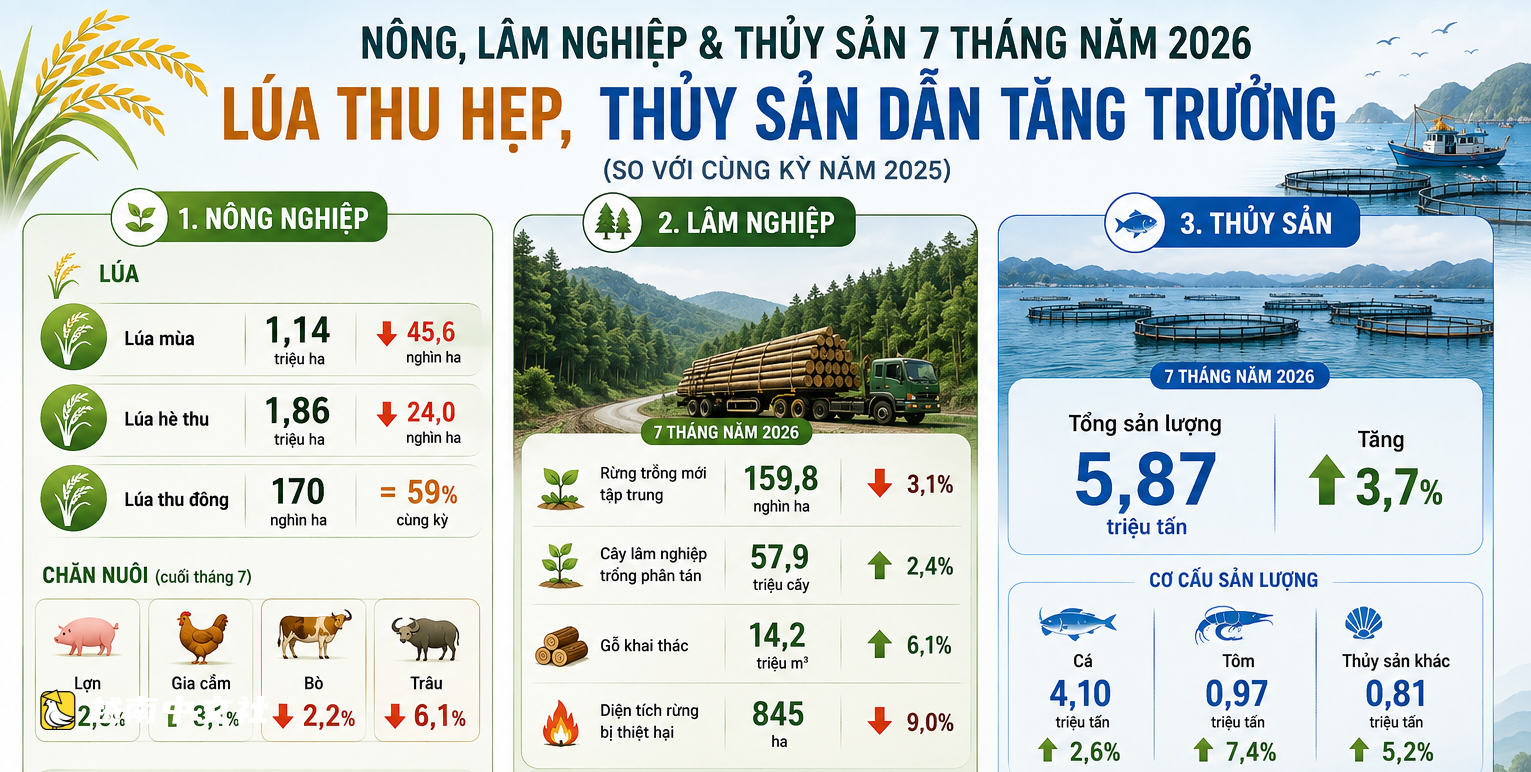 打造遷往越南湄公河三角洲的新移民潮:別讓物流和貸款難倒農民