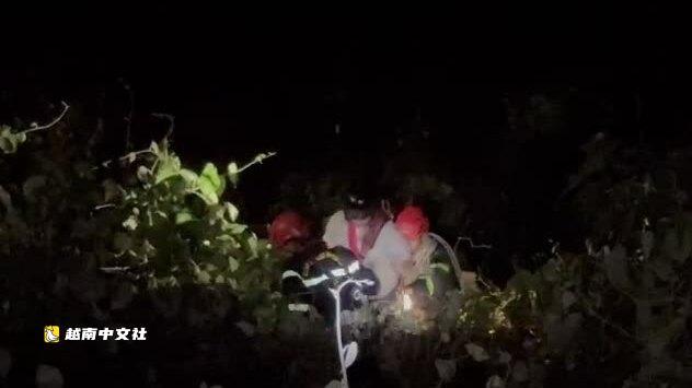 越南山茶半島:營救被困懸崖的女孩