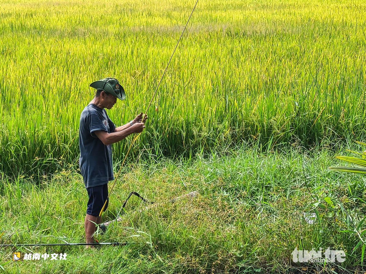胡志明市即將進入令人驚歎的‘黃金季節’,一個年輕人喜愛的拍照打卡地