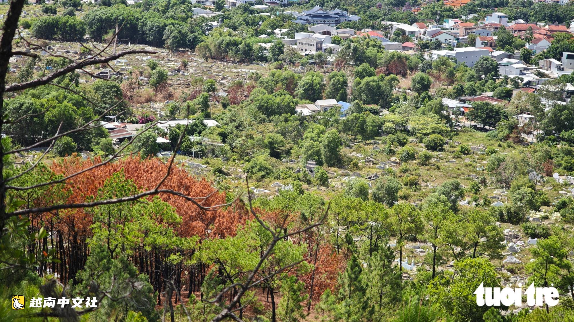 越南順化御屏山勝景:遷移逾10萬座墳墓的計劃如何推進?