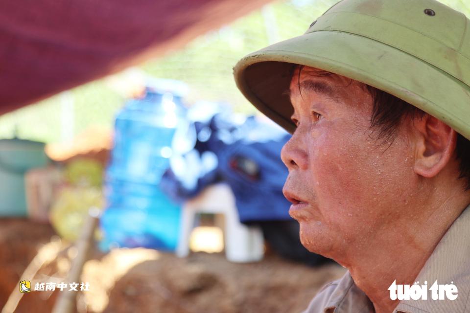越南義安省古磚墓發掘現場：出土寶劍、陶器和古錢幣