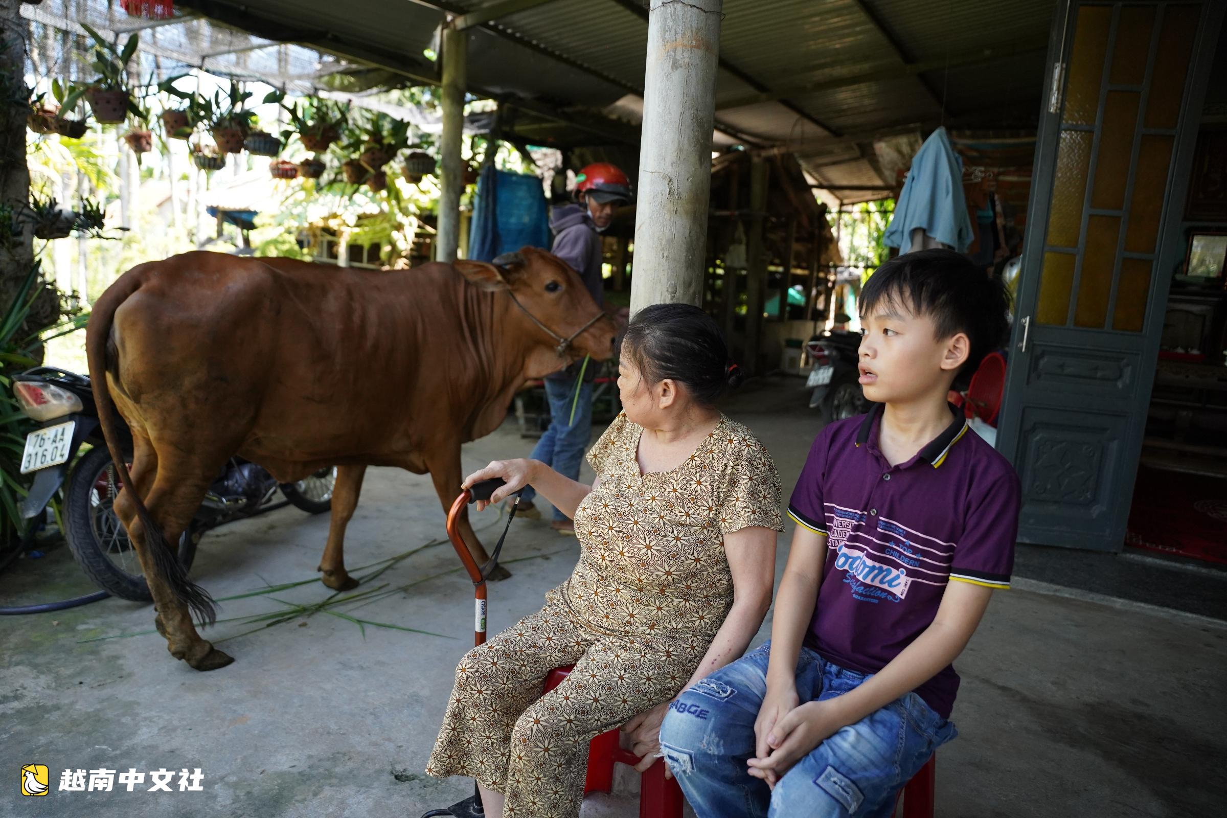 越南《青年報》買種牛贈同患癌祖孫倆 牛主人降價500萬