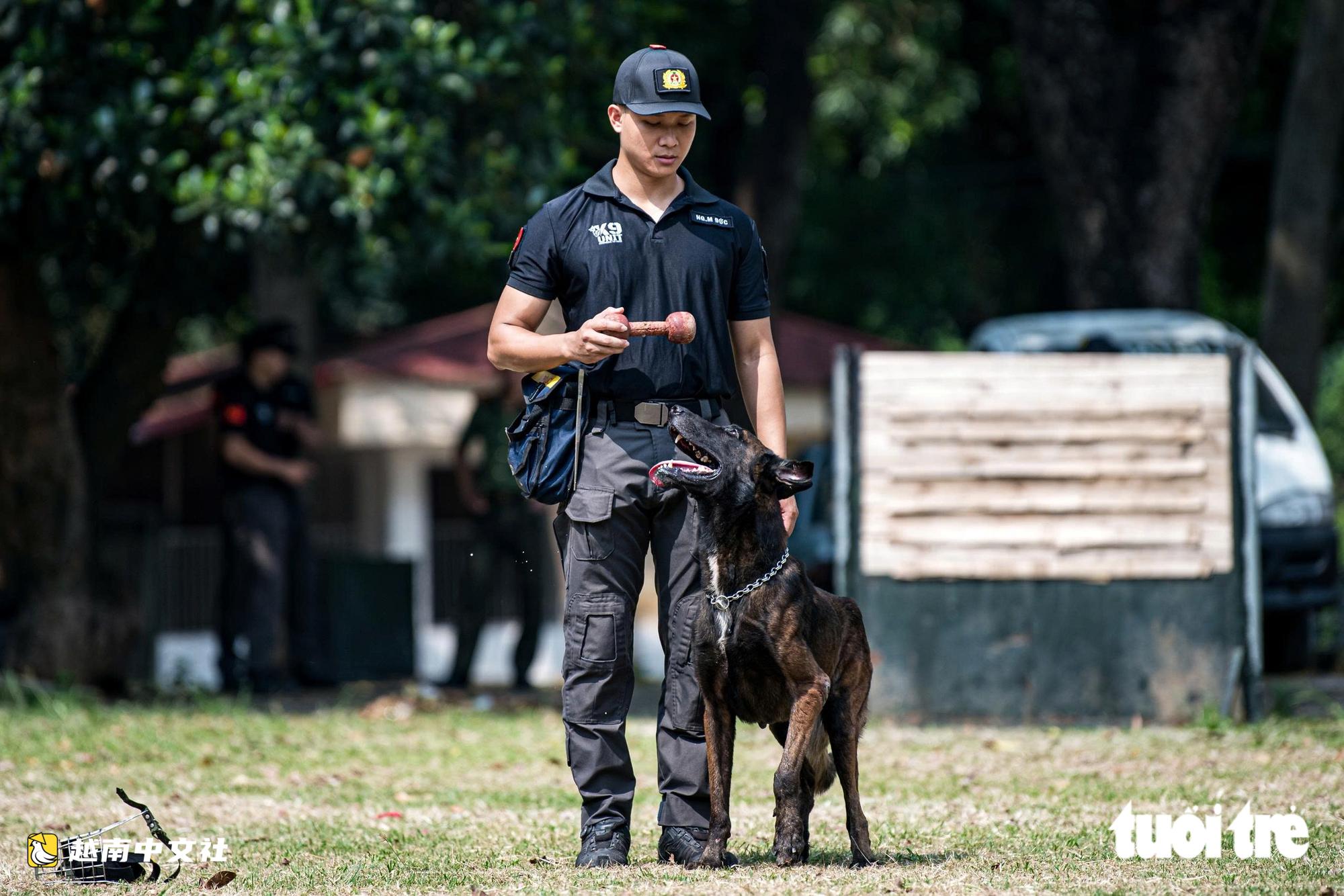 越南警衛司令部訓練警犬“出擊”打擊罪犯,“無聲”示意